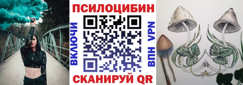 Купить закладки  Луховицы  Псилоцибиновые грибы мухоморы 